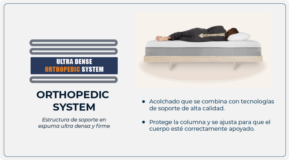 Mesa de trabajo 6 copia 13