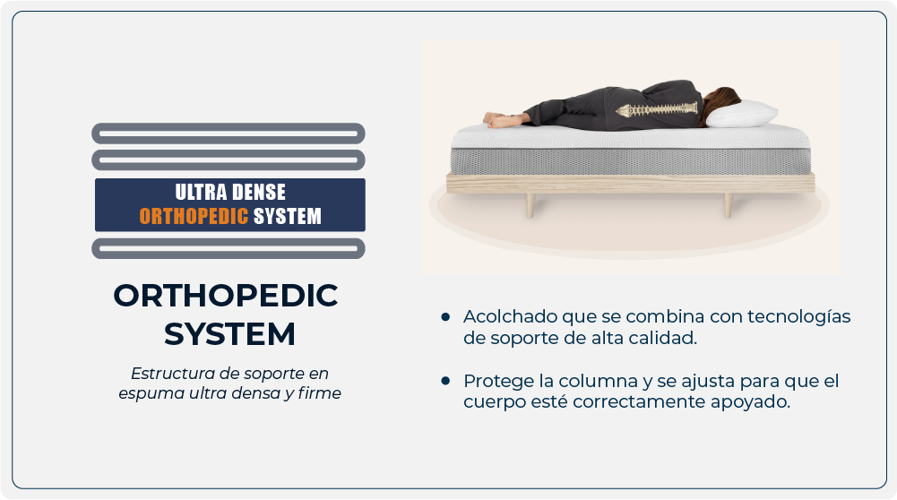 Mesa de trabajo 6 copia 13